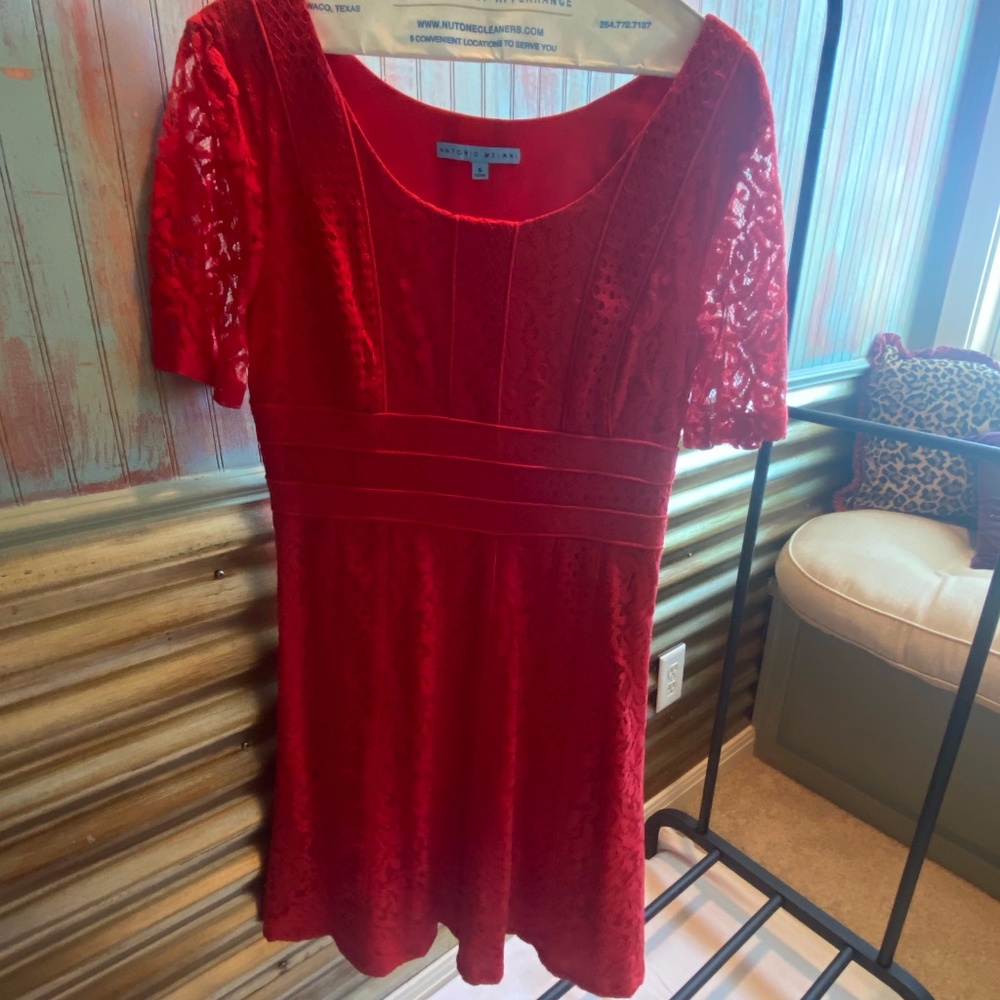 Antonio Melani Lace Dress